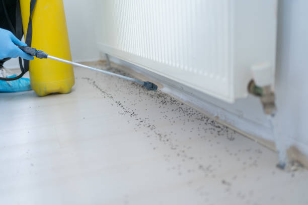 Best Pest Prevention Services  in Canfield, OH